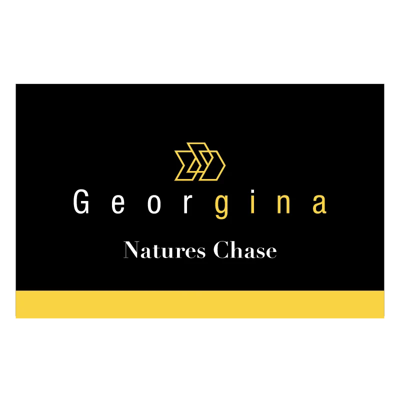 Georgina Condos